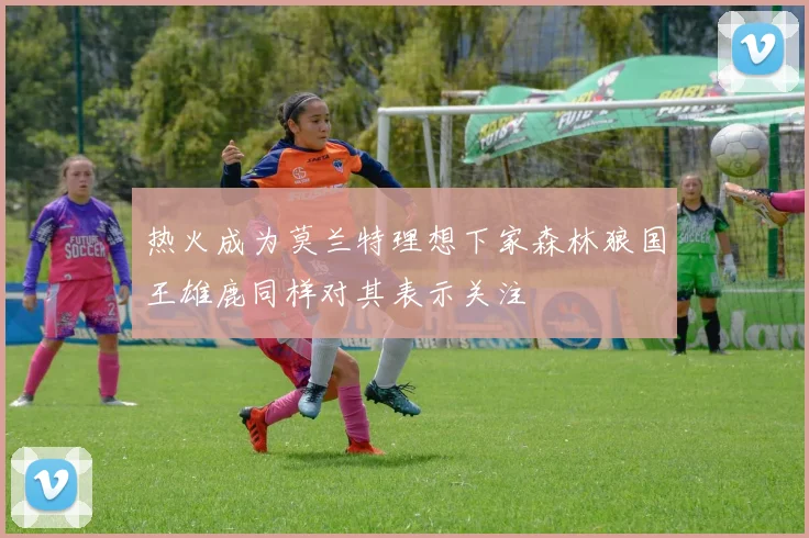 热火成为莫兰特理想下家森林狼国王雄鹿同样对其表示关注
