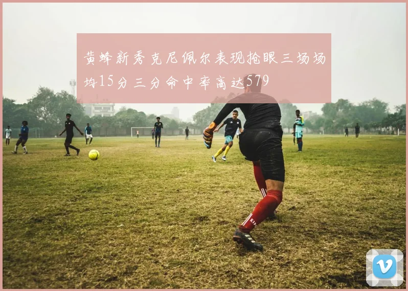 黄蜂新秀克尼佩尔表现抢眼三场场均15分三分命中率高达579